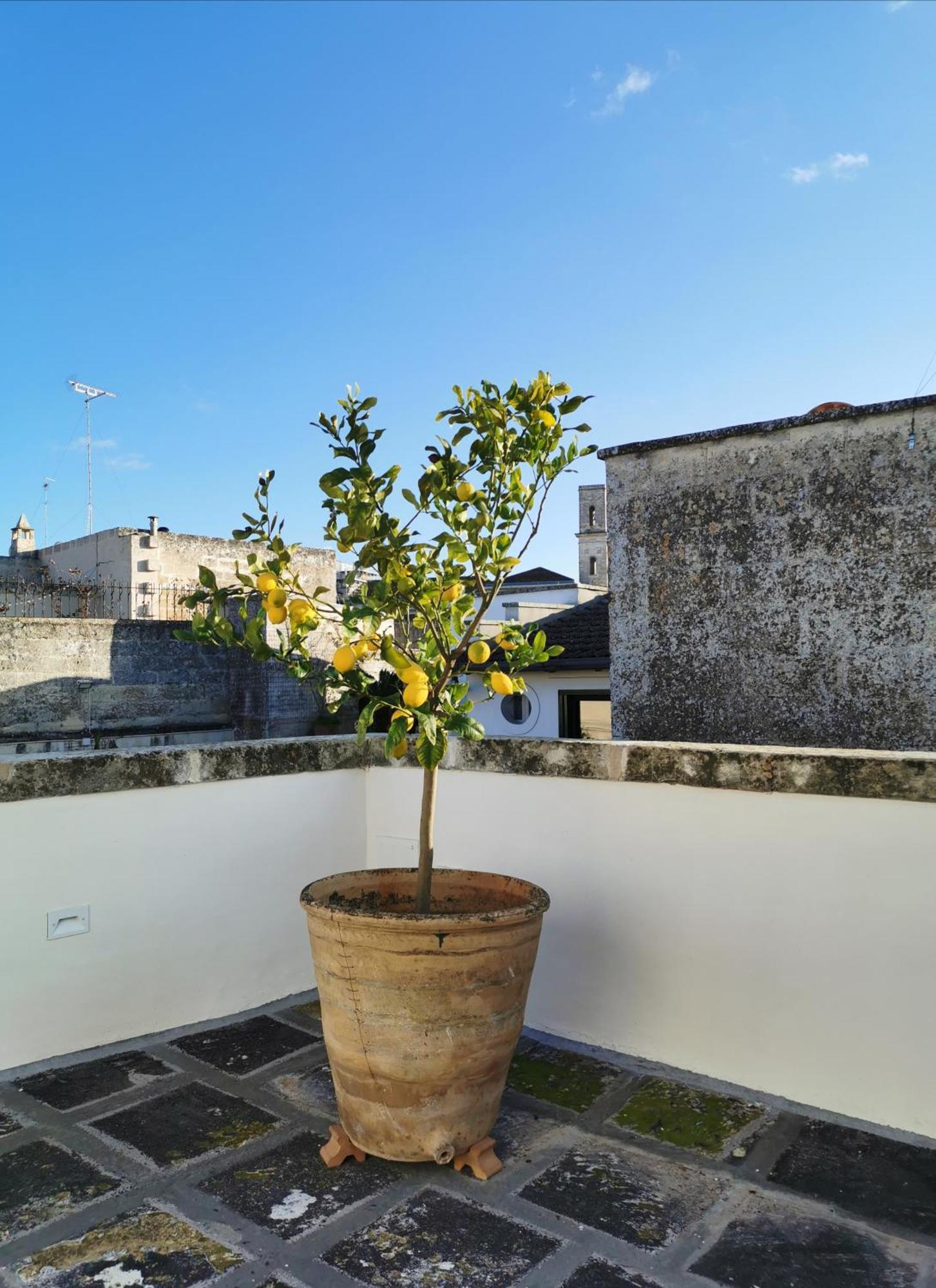 Coniger 4 Casa Vacanze In Centro Lecce Con Wi-Fi E Smart Tv Екстериор снимка